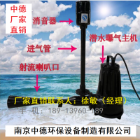 中德QSB型深水自吸式潜水射流曝气机工作原理及用途