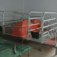 江西保育床生产-万晟畜牧设备公司订做母猪产床保育床
