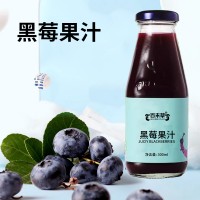 蓝莓果汁源头工厂OEM代加工 各种果味果汁加工定制