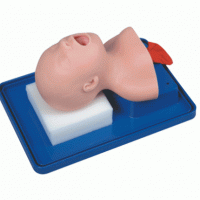 KAY-2A新生儿气管插管训练模型-小儿气管插管急救模型