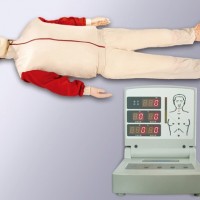 KAY/CPR280S全自动电脑心肺复苏模拟人按压急救模拟人