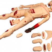 KAY/H111全功能创伤护理训练模拟人急救创伤模拟人
