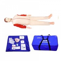 KAY/CPR100D简易全身心肺复苏模拟人（不带电子监测）