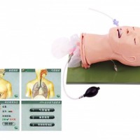全功能气道管理模型-上海康谊医学教学仪器设备有限公司