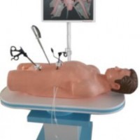 康谊牌KAY-FQJ600 批发市场真腹腔镜手术技能训练人体模型