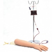 KAY-S1高级手臂静脉注射穿刺训练模型-输液手臂模型