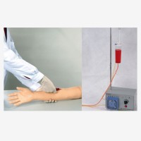 KAY-HS3高级手臂静脉穿刺及肌肉注射训练模型（带循环装置