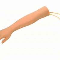 KAY-S5高级儿童手臂静脉穿刺训练模型-儿童输液手臂模型