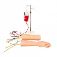 康谊牌KAY-S18手部、肘部组合式静脉输液（血）训练模型
