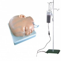 康谊牌KAY-S6/1高级婴儿头部静脉穿刺训练模型(双侧）