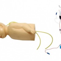 康谊牌KAY-S6/2高级婴儿头部静脉及手臂注射训练模型