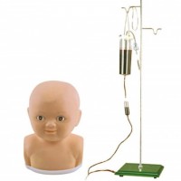 KAY-S6F高级婴儿头部综合静脉穿刺模型-护理技能训练模型