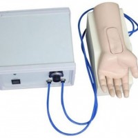 KAY-HS4G高级动脉血气分析训练模型-医学技能培训模型