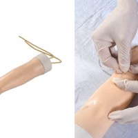 KAY-S15幼儿静脉注射手臂训练模型-小儿手臂静脉注射模型