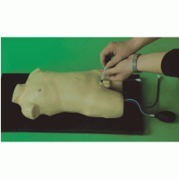 康谊牌KAY-H3218儿童股静脉与股动脉穿刺训练模型