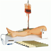 KAY-L65骨穿刺及股静脉穿刺模型-护理专业技能练习模型