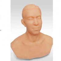 康谊牌KAY-ZYT/A针灸头部训练模型-头部穴位练习模型