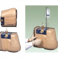 KAY-L68脊椎穿刺模型-上海康谊医学教学仪器设备有限公司