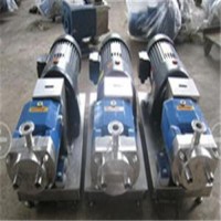 泰盛泵阀不锈钢转子泵化工输送泵沥青高粘度泵