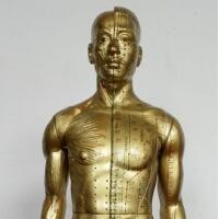 康谊牌KAY-B03T针灸铜人模型85cm 中医针灸人模型