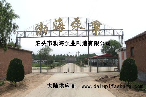 河北省沧州泊头市渤海油泵实体企业eh油泵是电控油泵吗便宜
