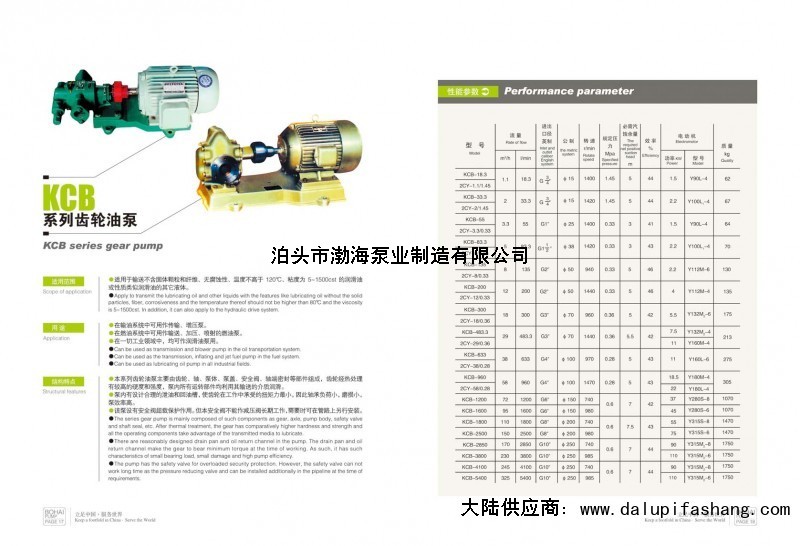 中国河北省沧州渤海油泵实体企业野马f16柴油泵价廉物美
