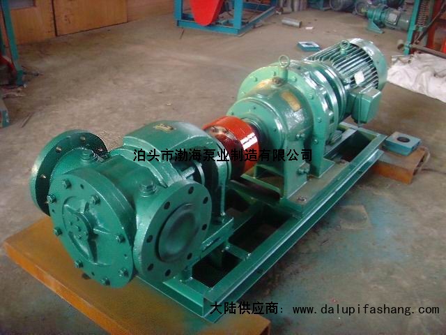 中国河北沧州渤海泵业制造有限公司齿轮油泵是机油泵嘛为什么专做