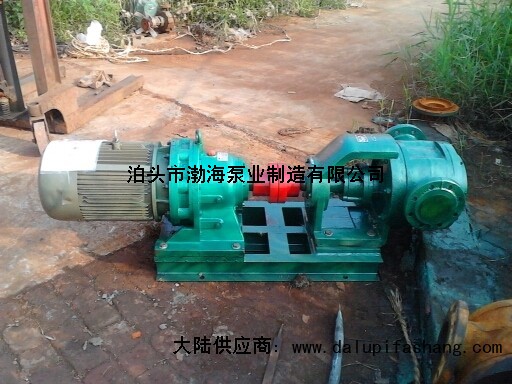 河北沧州市渤海油泵厂进口注射机油泵厂家厂家