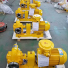 河北沧州市泊头渤海油泵实体企业效油泵的厂家