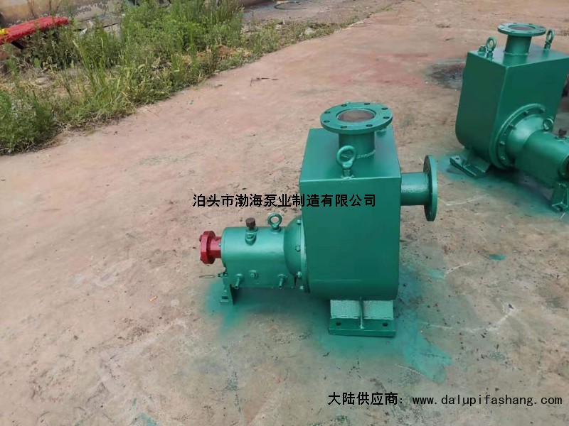 中国河北泊头市渤海油泵实体企业气动注油泵老是打气哪里有-达孜县