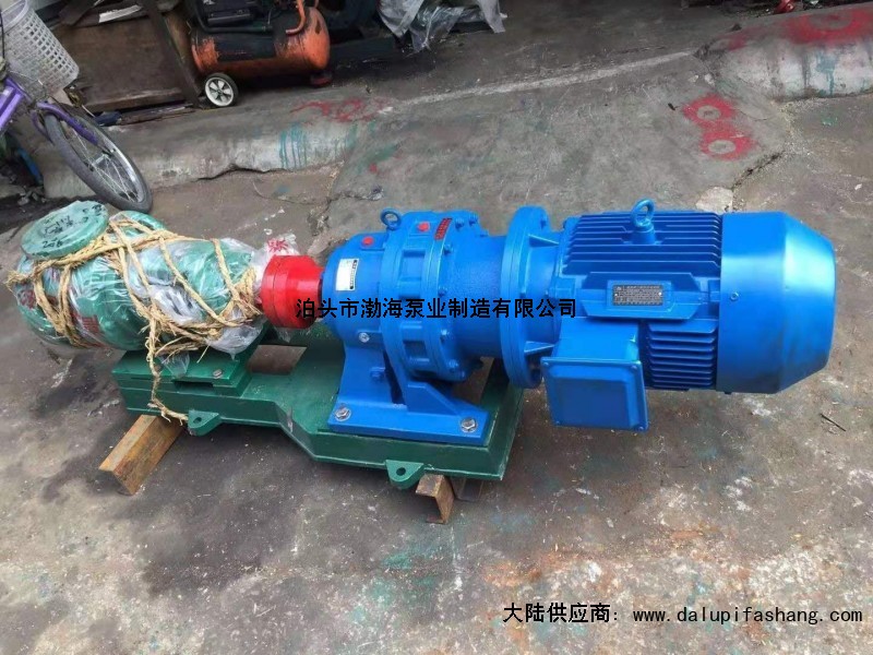 中国河北沧州市渤海泵业制造有限公司zexel油泵 资料厂家价格