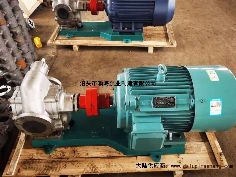 沧州市渤海油泵实体企业遵义高压齿轮油泵物超所值的好产品-蚌埠市