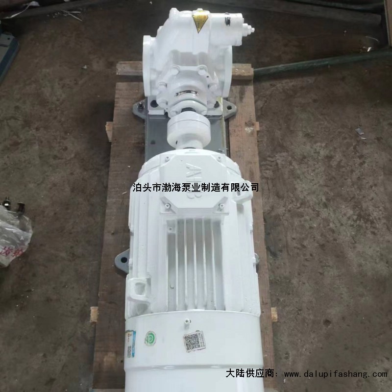 沧州市泊头市渤海泵业制造有限公司铲车齿轮油泵怎么拆装价格合理