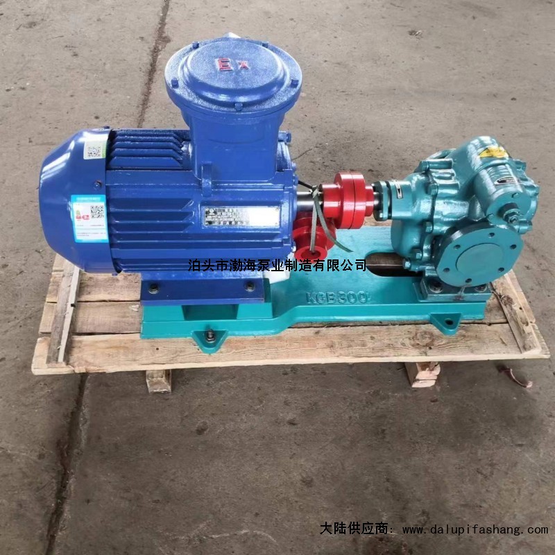 中国河北沧州渤海泵业制造有限公司齿轮油泵是机油泵嘛为什么便宜