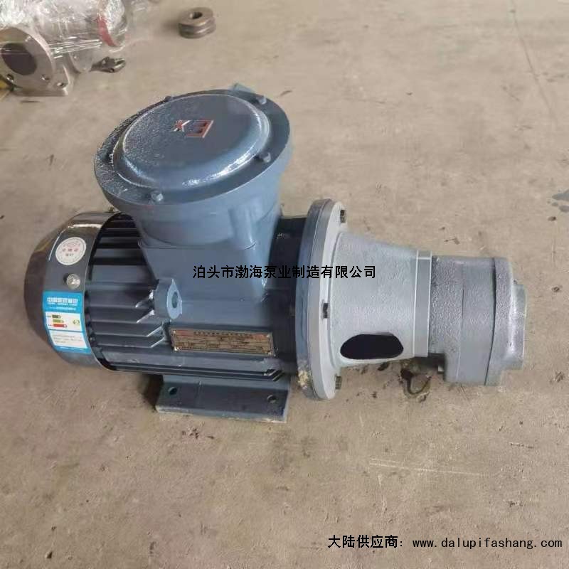 中国河北沧州渤海泵业制造有限公司标致408更换高压油泵爆销-永顺县