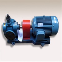 YCB不锈钢圆弧泵润滑油管道输送泵圆弧齿轮泵泰盛泵阀