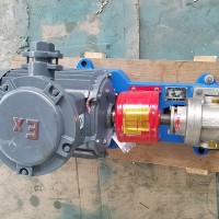天一泵业 齿轮油泵 NCB高粘度转子泵